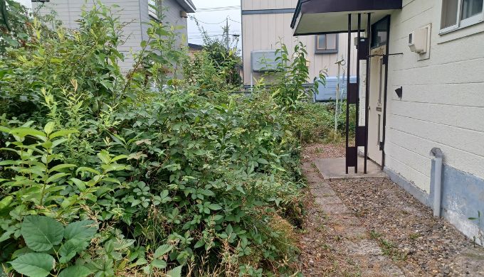 函館市内の数年放置された住宅の庭