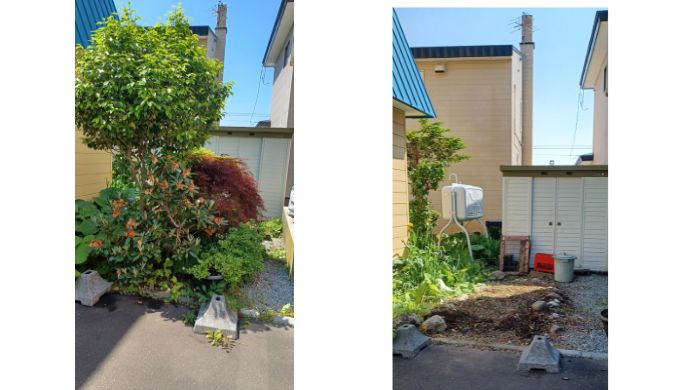 函館市高丘町地区の草むしり、伐採の前と後