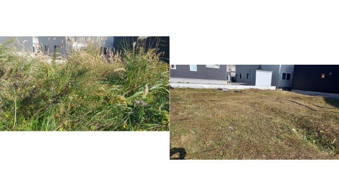 函館市東山地区の草刈り前の草刈り後の写真
